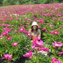 가나다농장 이미지