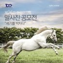 알고파 이미지