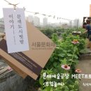 도시부엌 이미지