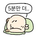 효소해독찜질테르엔