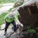 낙동강변25 이미지