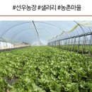 진월농장 이미지