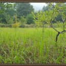 사리공인중개사사무소 이미지