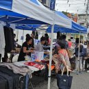 반딧불이연무시장 이미지