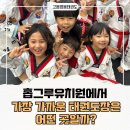 홉그루유치원