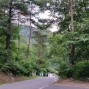 용문산관광지(야영장) 이미지