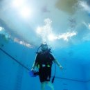 4월 4일 무료 체험 스쿠버다이빙 벙개 (2차) 이미지