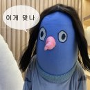 돈지존