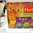 스트롱 라벤더
