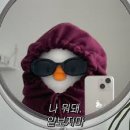선비꼬마김밥 네이버블로그