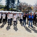 화곡초등학교 이미지