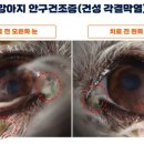 우리다온약국 이미지