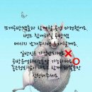 라온뜨개공방