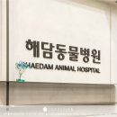 해담동물병원 이미지