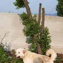 오산2길 이미지