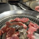 쇠고집 - 종로구 인사동3길 5-2 | [기흥이케아근처맛집] 용인 맛집쇠고집 꼬들목살, 가브리살 먹은 후기