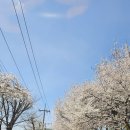 손주들농장 이미지