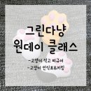 원데이그린