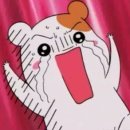 김밥과돈까스 이미지