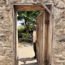 명기농장 | [스마일로드 아프리카 7국 25DAY] 아프리카 패키지 여행후기 7일차 : 탄자니아 모시🇹🇿(서벌 와일드...