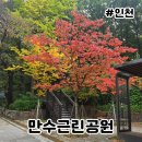 남동국민체육센터 | 만수근린공원 남동국민체육센터 옆 산책길