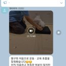 개러리아 이미지