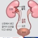 이차돌광주 - 동구 화산로 261 | 이차돌광주
