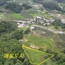 경북 예천군 학가산자락 2,595m2 청정지역 토지 이미지