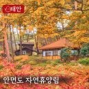 태안-안면-비상-11 | 100년 안면송림의 선물! 숨 쉬는 것만으로 힐링되는 안면도 정복기