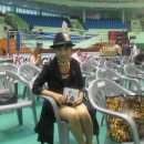 마산실내체육관 이미지