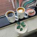 개나리카써비스 이미지