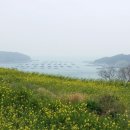 무안비치호텔 이미지