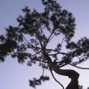 노고단-15 이미지