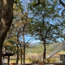 그루370 | 남해 오션뷰 뷰 맛집 카페 : 그루370 솔직 후기