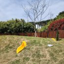 딩동댕 | 간절곶 반려동물 놀이터 딩동댕 놀이터 방문후기!