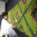 (주)더조은환경 | 주말에 끝내는 &#39;밋밋한 거실 벽&#39; 인테리어, 벽면조화가 정답인 이유