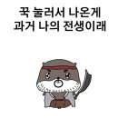 크리스마켓