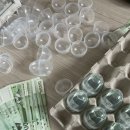 고양이무마취미용 나의캣 이미지