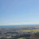 롯데네슬레코리아(주) | 롯데네슬레 코리아 청산절차 돌입... 맥심 마켓쉐어 못 뚫어...