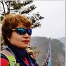 출렁다리(1) 이미지