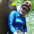 그루터기 이미지