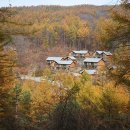 국립횡성숲체원 이미지