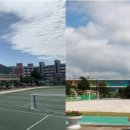 동광초교 이미지