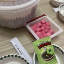 보문아구 이미지