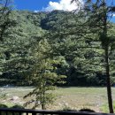 털보네설악강변 이미지