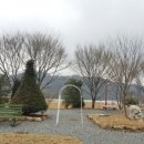 홍천무네미별마루관광농원 이미지