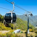 가리왕산가든 이미지