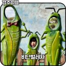 비단마을 | 경주여행 경주비단벌레차 예약 코스 경주관광지 계림 경주교촌마을 최부자집 선덕여왕 행차