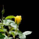 여울목수변공원 이미지