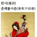 한시(漢詩)춘래불사춘(春來不似春)동방규＜東方虬＞ 이미지